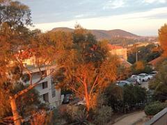 183 HYERES ET SES PALMIERS D13_000006